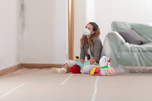 Reliable Mold Remediation contractor in Mount Wolf, PA by WQB Mold Removal
